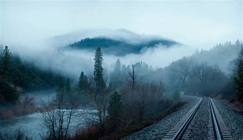 Forest Trees River Water Mountains Morning Fog Railroad Landscape