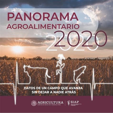 Presentación Del Panorama Agroalimentario 2020 Un Reconocimiento A Los