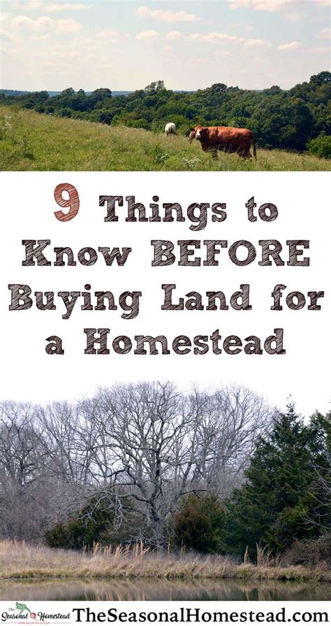 Things To Know Before Buying Land For A Homestead The Seasonal