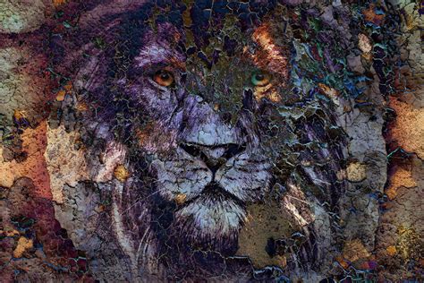 Lions Den Foto Art Op Plexiglas En Dibond Xiart Xi Art