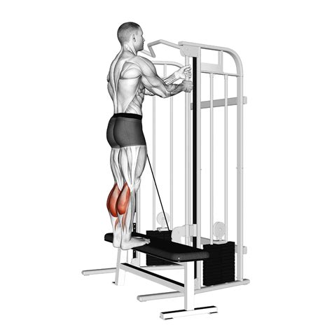 Leg Press Calf Raise Benefits Muscles Worked And More Inspire Us