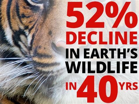 wwf shocking report on wildlife and why the response will be inadequate