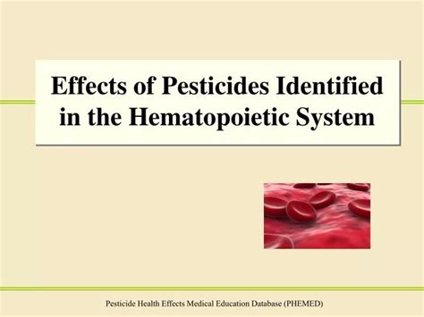 Ppt Effects Of Pesticides Identified In The Hematopoietic System