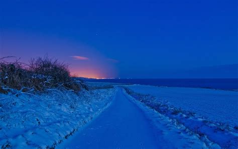 Blue Winter Night