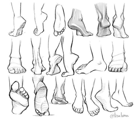 hand reference anatomy drawings feet drawing art reference drawings
