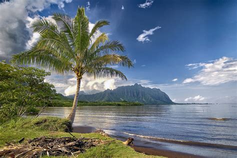 To Do In Hawaii The Ultimate Vacation Travel Guide I