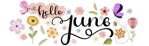 Hello June June Month Vector Decoration With Flowers Butterflies And