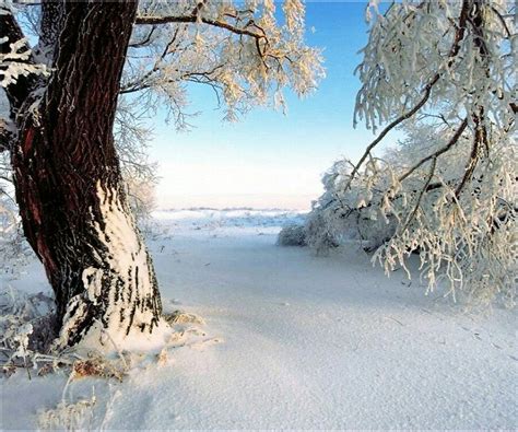 Beautiful Winter Snow Winter Scenes Winter Pictures Nature