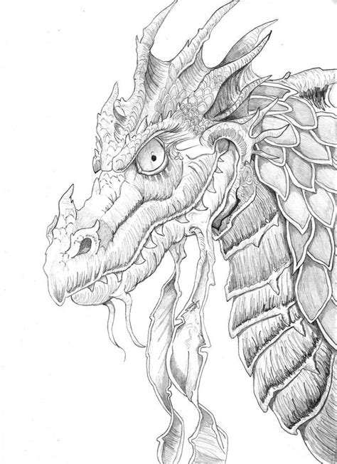 We have put together a huge collection of fantastic dragon coloring pages for adults. Dragon | Dragon coloring page, Coloring pages, Adult ...