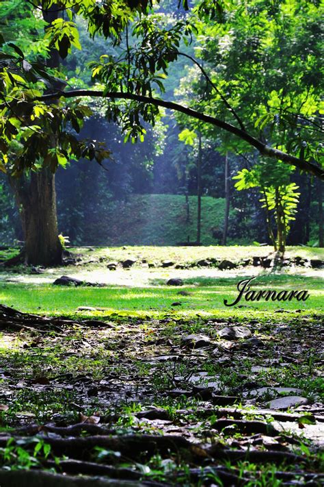 Bagi anak di bawah 4 tahun, gratis biaya masuk. Travel With Jarnara: Bogor Botanical Garden (Kebun Raya Bogor)