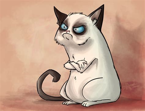 Grumpy Cat Cats Fan Art Fanpop