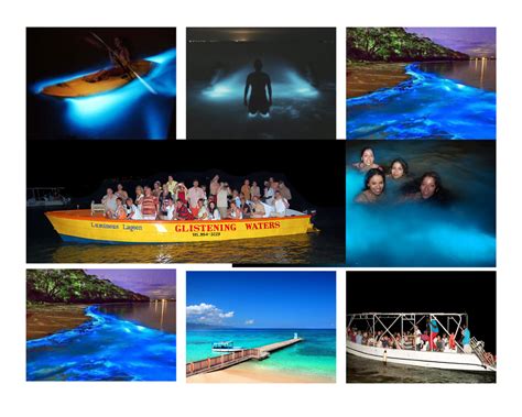 Mystic Luminous Lagoon Night Cruise Jaconnecttours