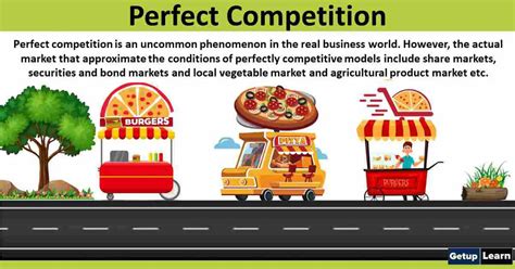 Perfect Competition Features Characteristics