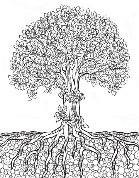 100 ideas coloring page tree with roots on emergingartspdx. 9782815307086 ext | Tree coloring page, Cute coloring ...