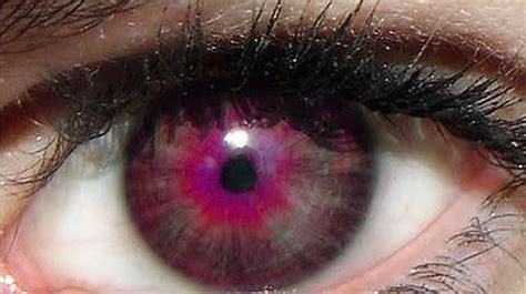 Los Cinco Colores De Ojos Más Raros With Images Violet Eyes Eye