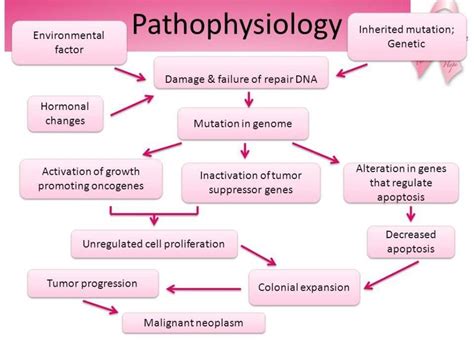 Introduction To Pathophysiology Of Tumors
