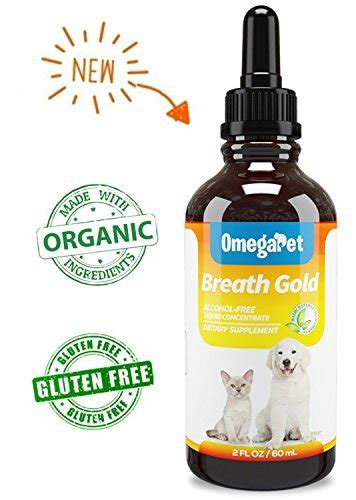 Kennel Cough Medicine For Dogs Organic Dog Cough Medicine For Colds