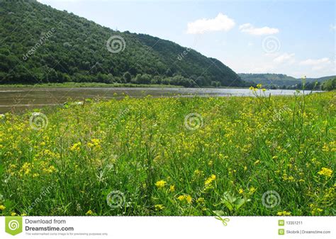 Meadow Near The River Stock Image Image Of Dniestr Sunlight 13351211