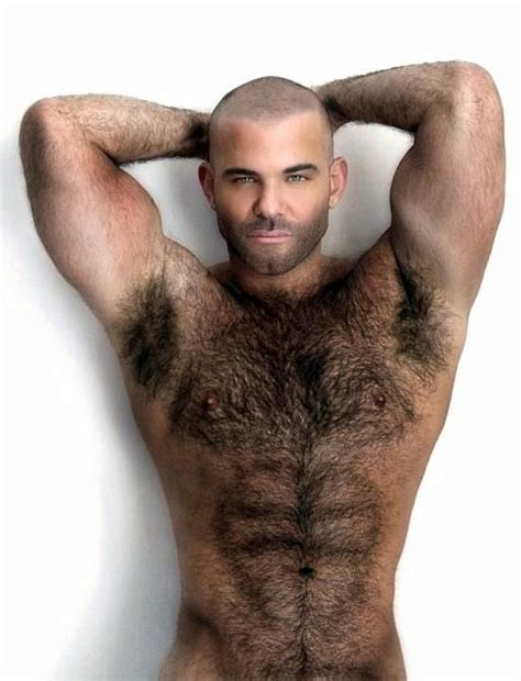 28 Best Images About Bears On Pinterest Happy May Gay