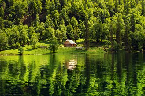 Lake In Forest Wallpapers Wallpaper Cave