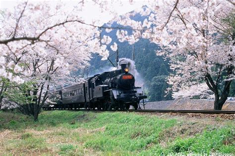 Japans Top Five Scenic Train Trips： From Ama Chan To Historic Steam