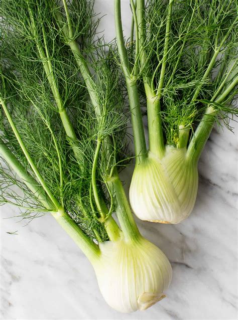 What Is Fennel And How To Cook It Recipes By Love And Lemons