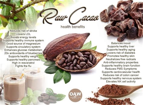 25 Super Health Benefits Of Cacao Oawhealth
