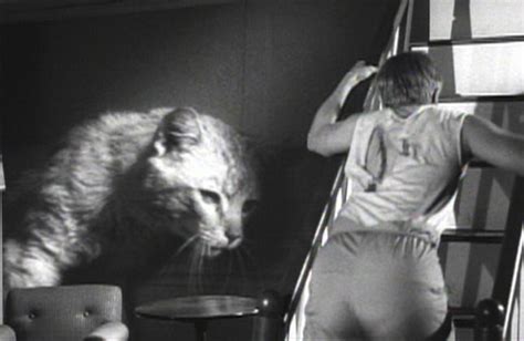 Grant Williams And Orangey In The Incredible Shrinking Man The
