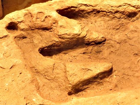 Человеческие следы возрастом миллионы лет назад Почему академическая наука отвергает наличие
