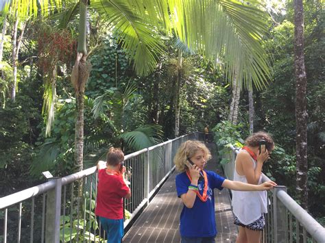 Daintree Discovery Centre Review With Kids 5 Lost Together