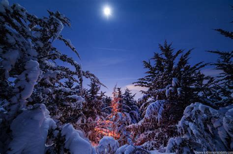 Christmas Lights The Moon And Snow Covered Trees