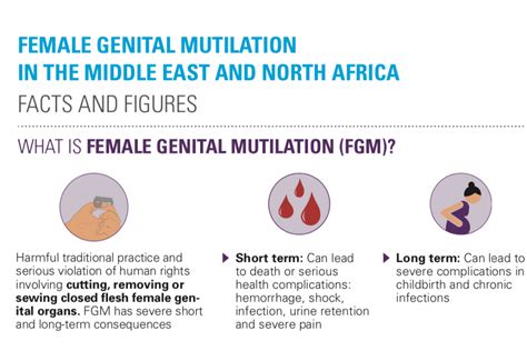 Facts And Figures Female Genital Mutilation In The Middle East And North Africa Unicef Middle