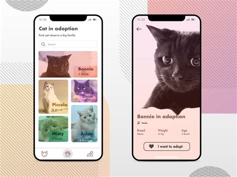 Cat Adoption on Behance