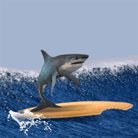 Robbie Cobb Gif Find Share On Giphy Shark Shark Images Shark Gif