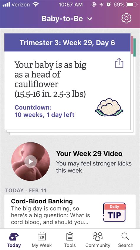 In addition to having a fun, simple, and modern design, i tried to make sure. 8 Cool Pregnancy Tracker Apps You Never Knew Existed