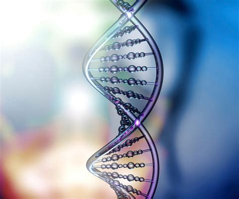 Fragmentación del ADN espermático y sus controversias