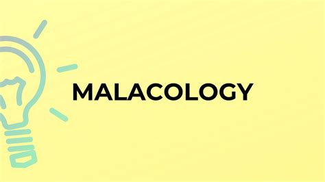 What Is The Meaning Of The Word Malacology Youtube
