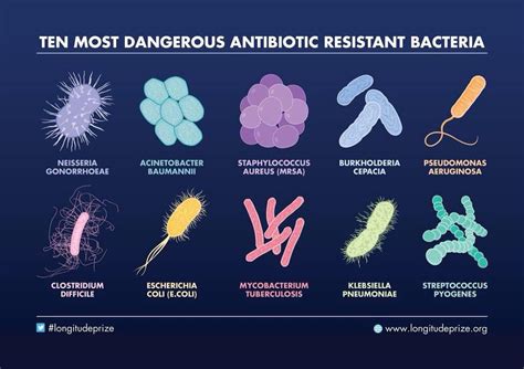 Las 10 Bacterias Más Resistentes A Los Antibióticos Ten Most