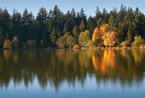 Autumn Run Stanley Park Seawall Vancouver Stock Image Image Of