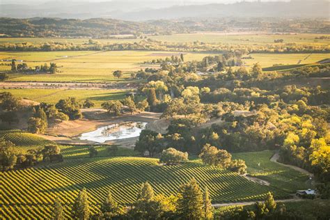 9 Sonoma County Wineries With Beautiful Views