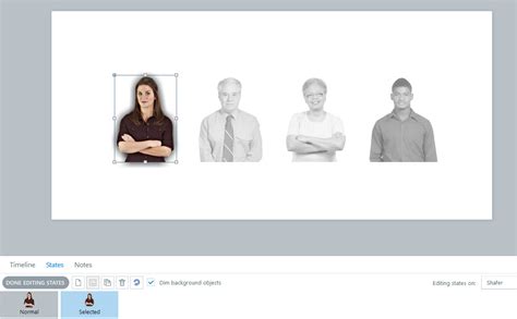 Choose An Avatar With A Slider Using Storyline 2 E Learning Heroes