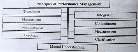What Are The Principles Of Performance Management Hrm