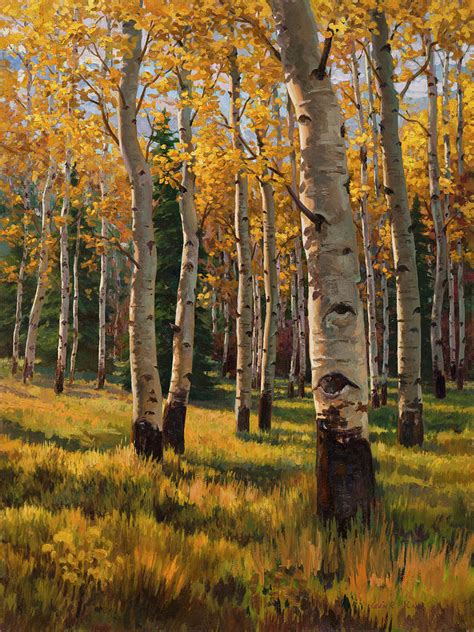 Aspens In Fall Painting By Kevin Mccain Fine Art America