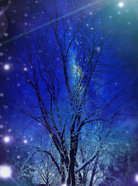 Beauty Blue Mesmerizing Sky Snow Stars Tree Hd Phone Wallpaper