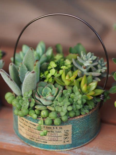 Here S How To Turn Thrift Store Finds Into Adorable Succulent