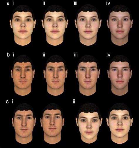 A New Viewpoint On The Evolution Of Sexually Dimorphic Human Faces