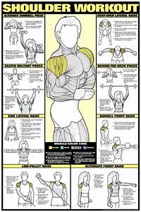 Shoulders Training Fitness Gym Shoulder Workout Workout Posters