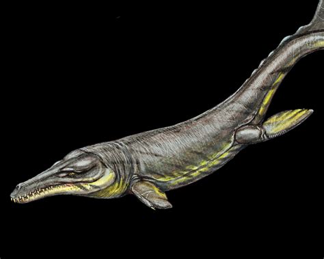 Males and females, males, females, characters who cry. Plesiosuchus | The Parody Wiki | Fandom
