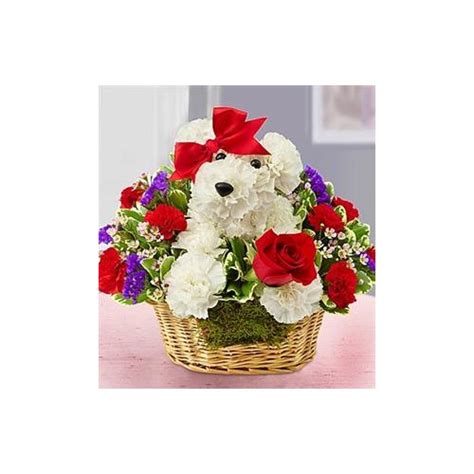 Allen's flower market is a florist located in long beach, california. Conroy's Long Beach | Local Florist | Long Beach, CA