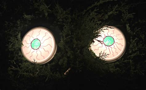 Spooky Eyes Outdoor Halloween Diy Decor Building Our Story